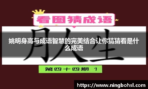 k1体育网页版