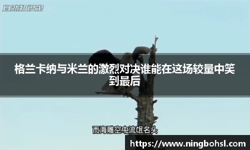 k1体育官方网站